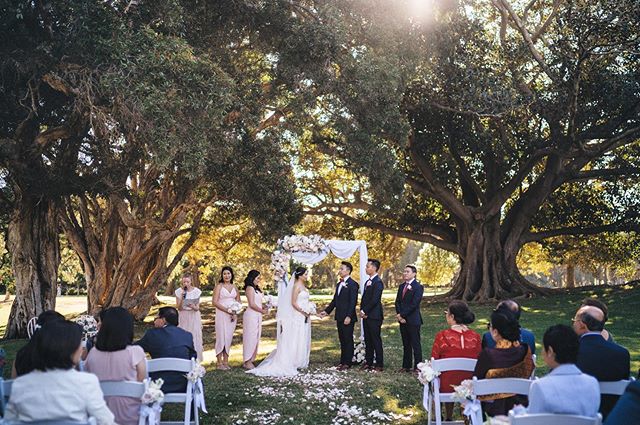 🍁 🍁 One of the prettiest Autumnal ceremonies amidst @centparklands this year 🍁🍁 This was shortly after Peter completely became overwhelmed watching his radiant bride to be walk down rose petal laden aisle ⚡️⚡️⚡️ This day was made even more incred