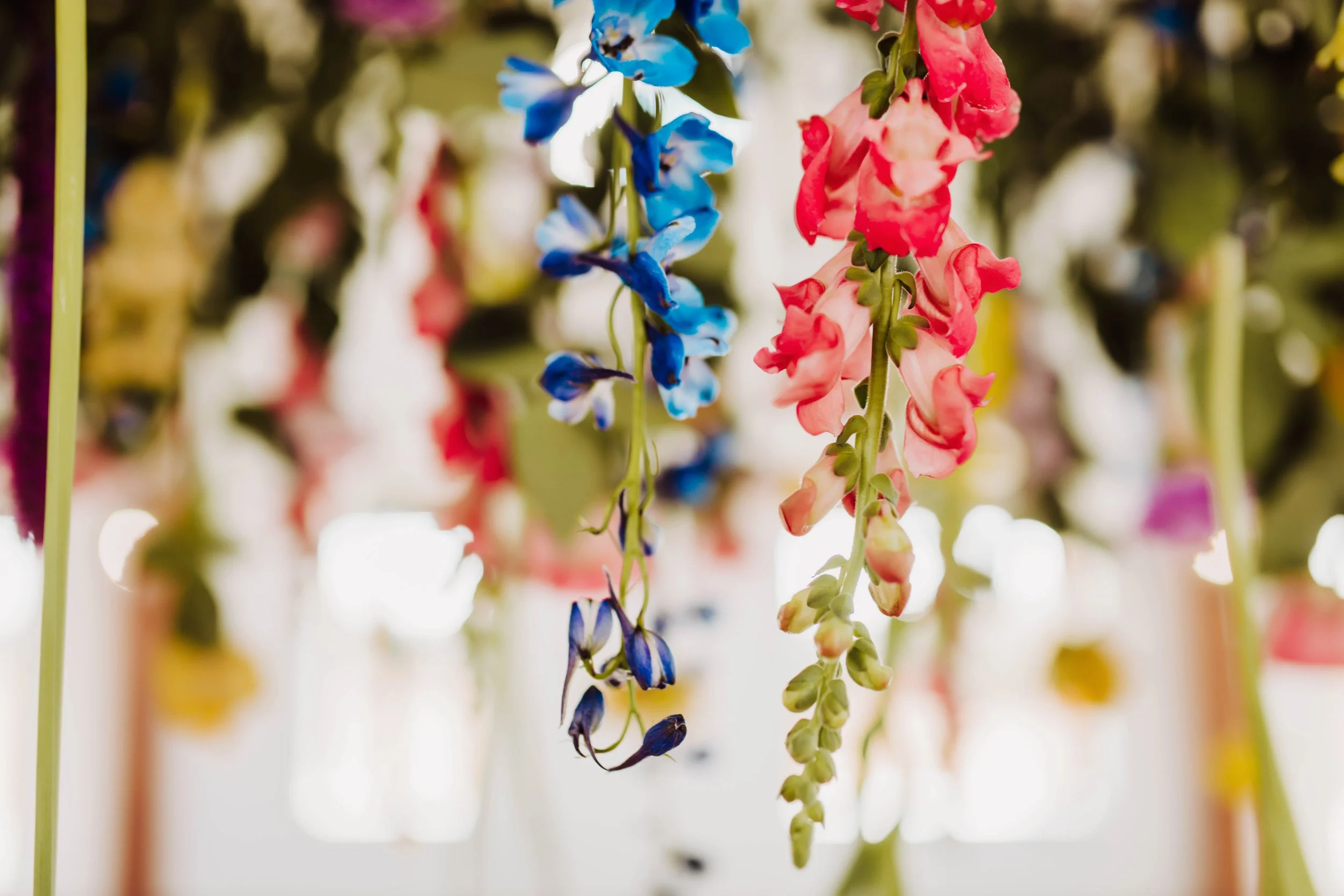 GARDEN PARTY FLORIST GARDEN PARTY FLORIST STILLWATER, OK FLORIST