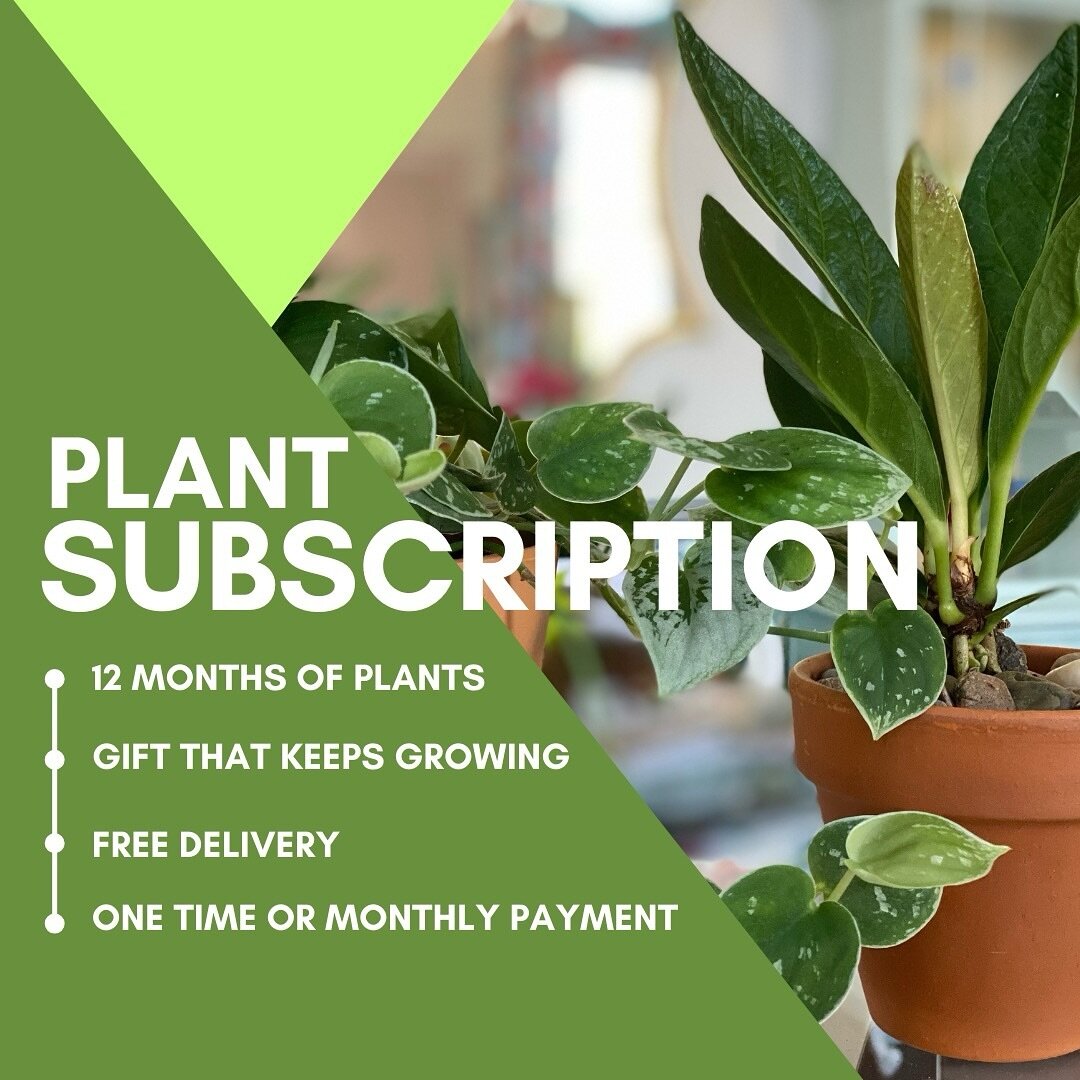 Got a plant lover in your life - or you want to add to your collection? 🪴💚 Our Plant Subscription is an awesome way to create a plant collection over the course of the year. Multiple price points available and monthly payments is an option!!