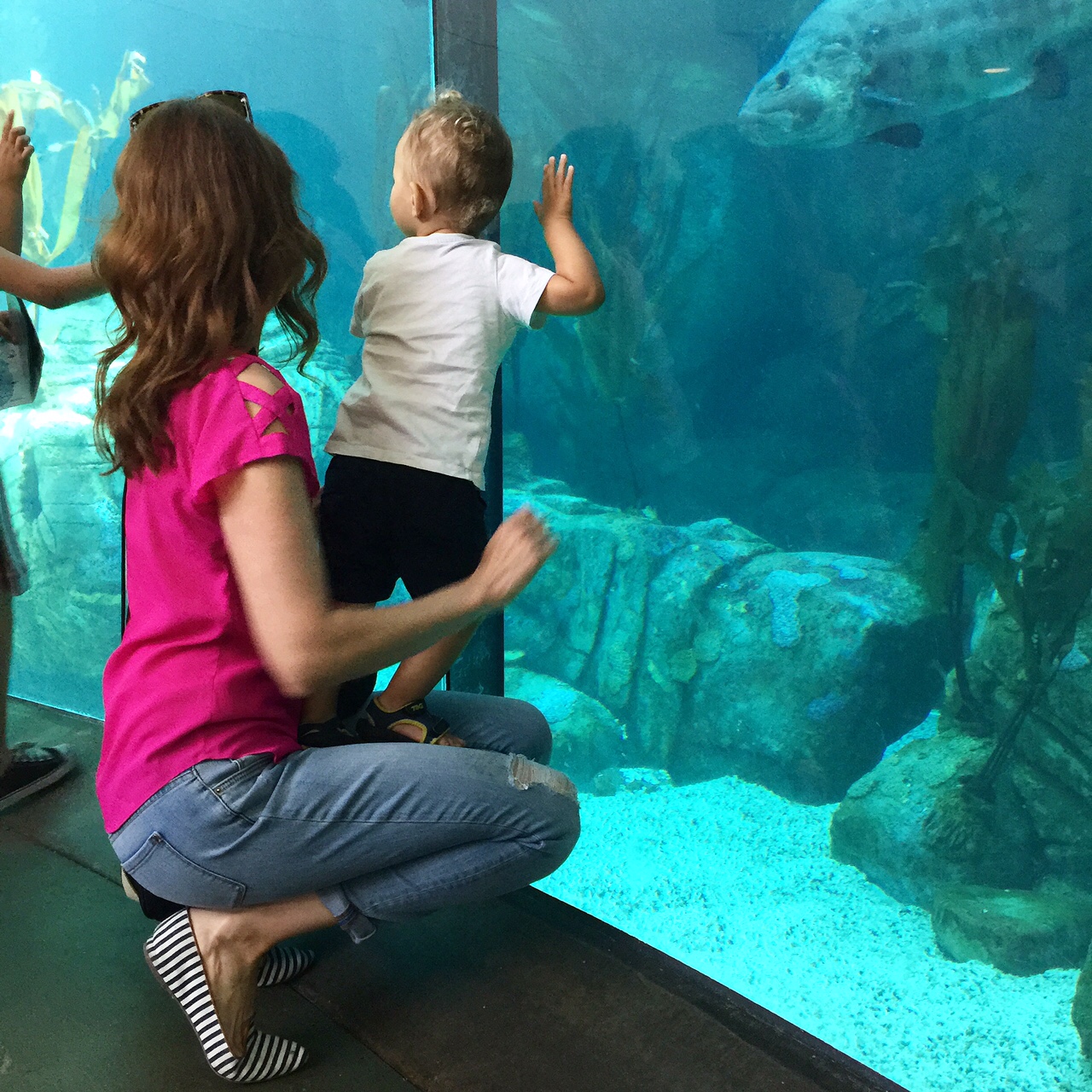 Hookey Day at the Aquarium!