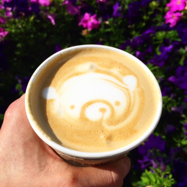  Latte foam art amazes me - how do they do it?   