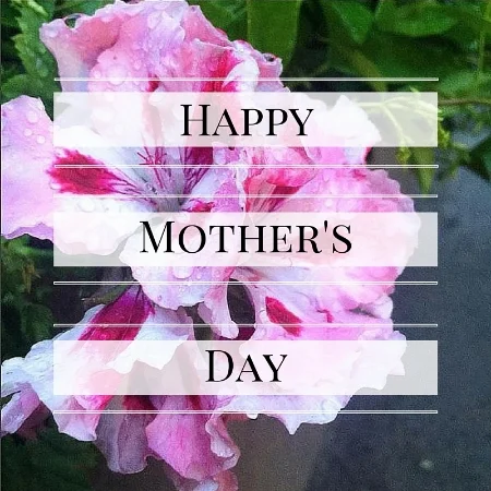 Happy Mother's Day