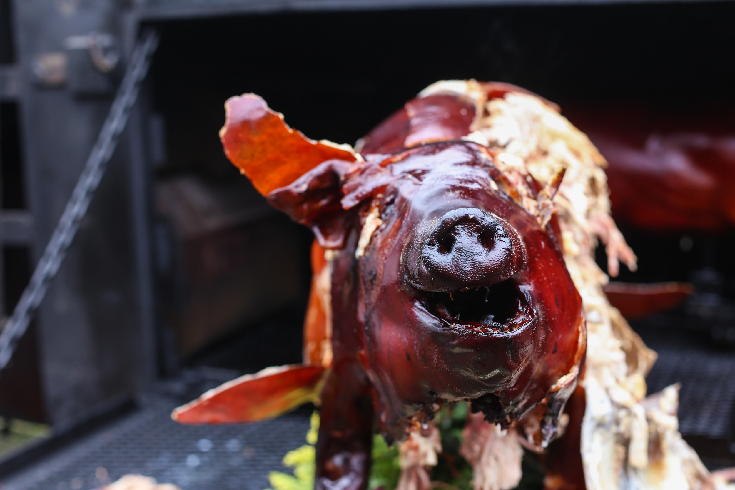   HIGH ON THE HOG: BEHIND THE SCENES AT THE MEMPHIS BBQ WORLD CHAMPIONSHIP &nbsp;- THRILLIST 