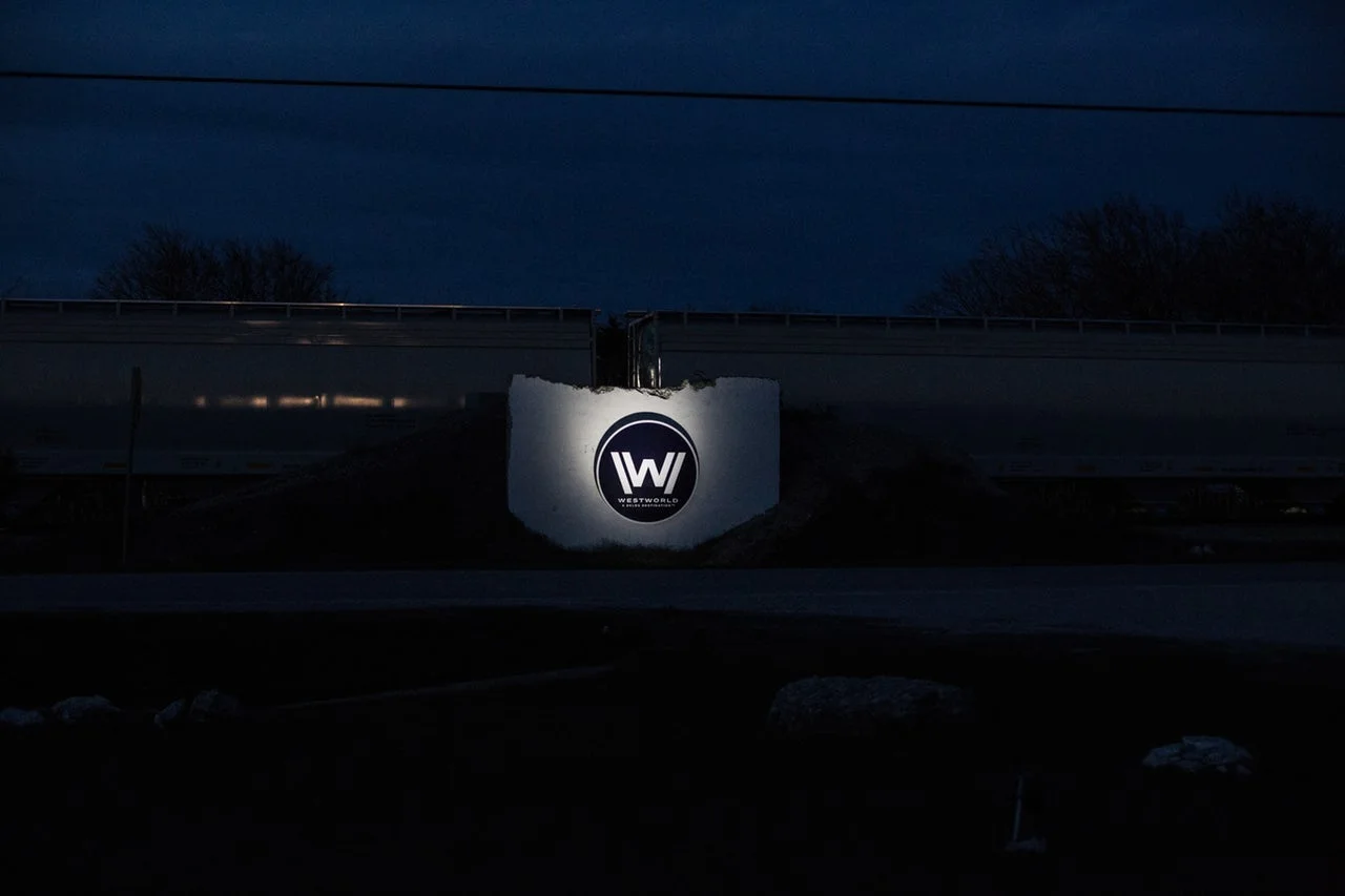 I WENT TO WESTWORLD BUT I COULDN'T KILL ANYONE - THE OUTLINE