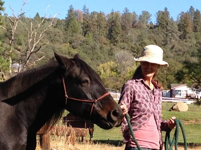 "Embracing Our Shadow - Reclaiming Our Light Workshop