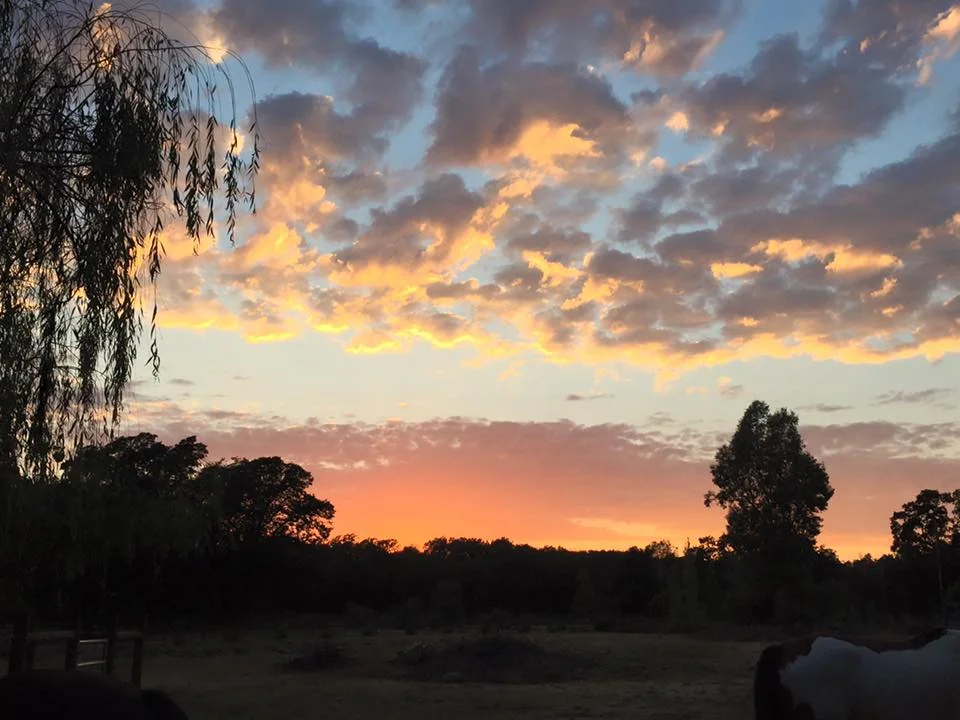 Beautiful sunset.