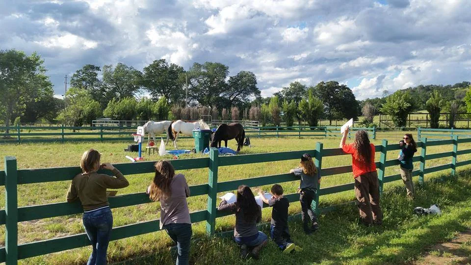 Kids & Parents Intro Day to Equine Facilitated Learning (EFL)