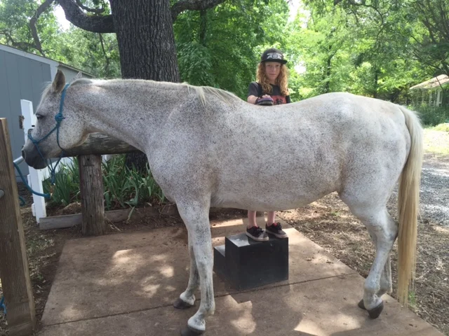 Private Equine Session