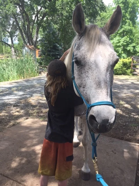 Private Equine Session