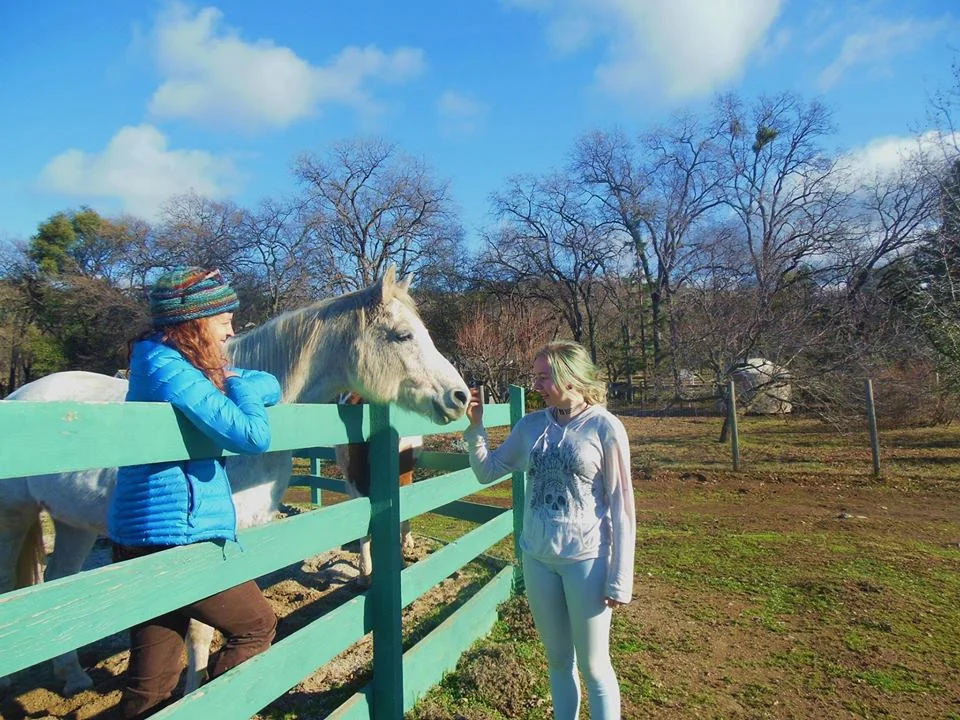 Private Equine Session