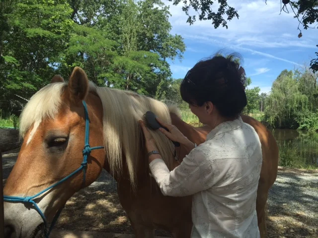 Private Equine Retreat