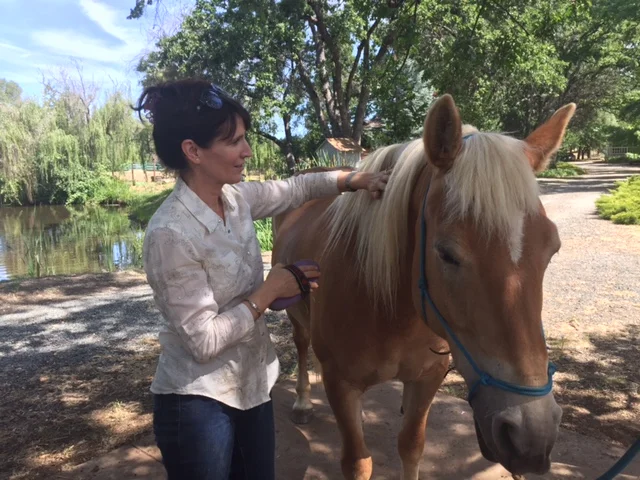 Private Equine Retreat