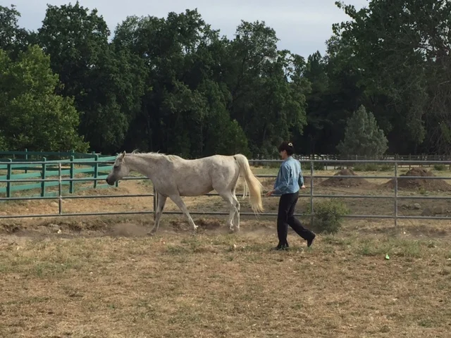 Private Equine Retreat