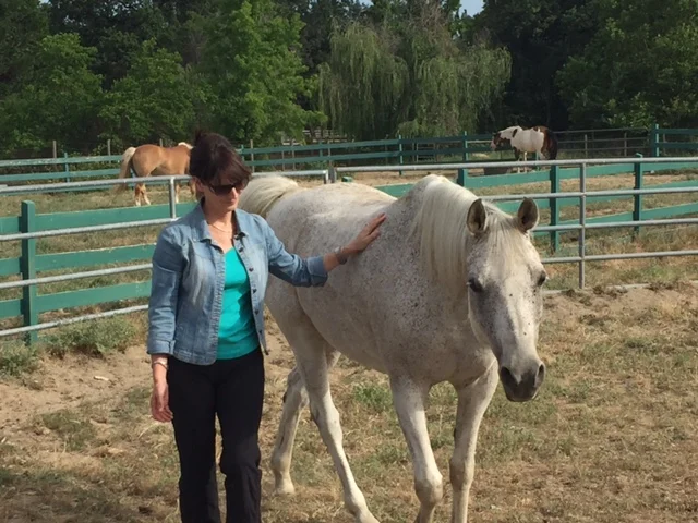 Private Equine Session