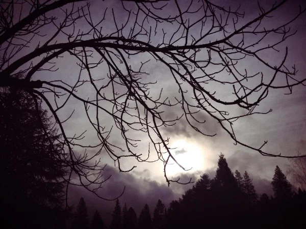 Photo by Melinda Vienna Saari