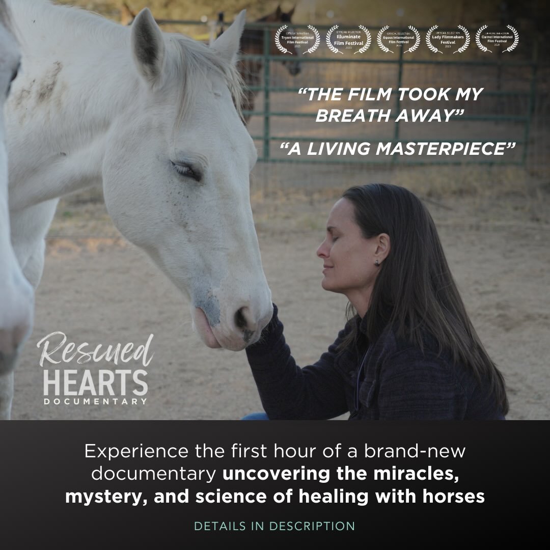 Friends! You&rsquo;ve seen me post about this INCREDIBLE @rescuedheartsfilm FILM about the healing power of horses in honored to be in, right? Well, you can now stream the first hour of it this weekend for a smashing price! It&rsquo;s winning awards 