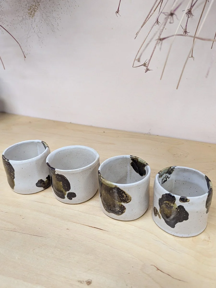 tortoise_teacups_b.jpg
