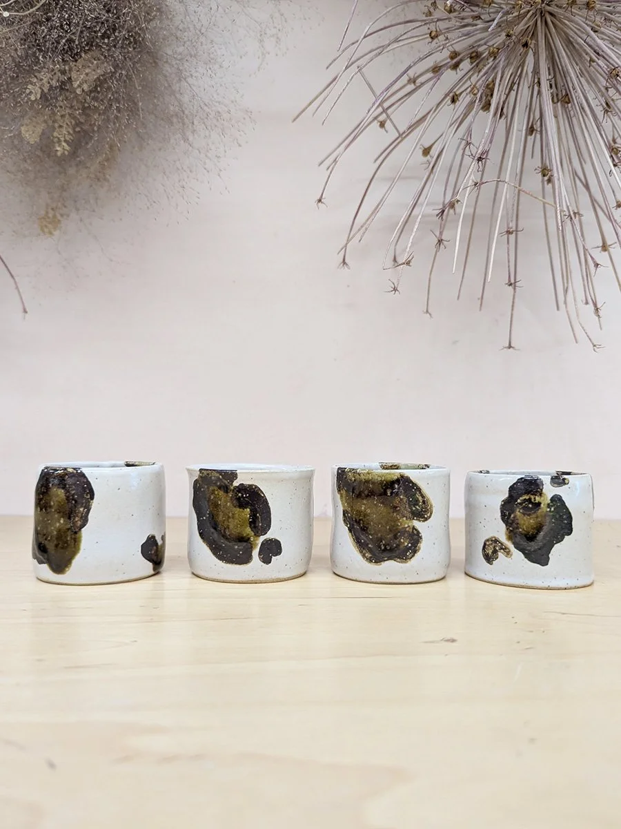 tortoise_teacups_a.jpg