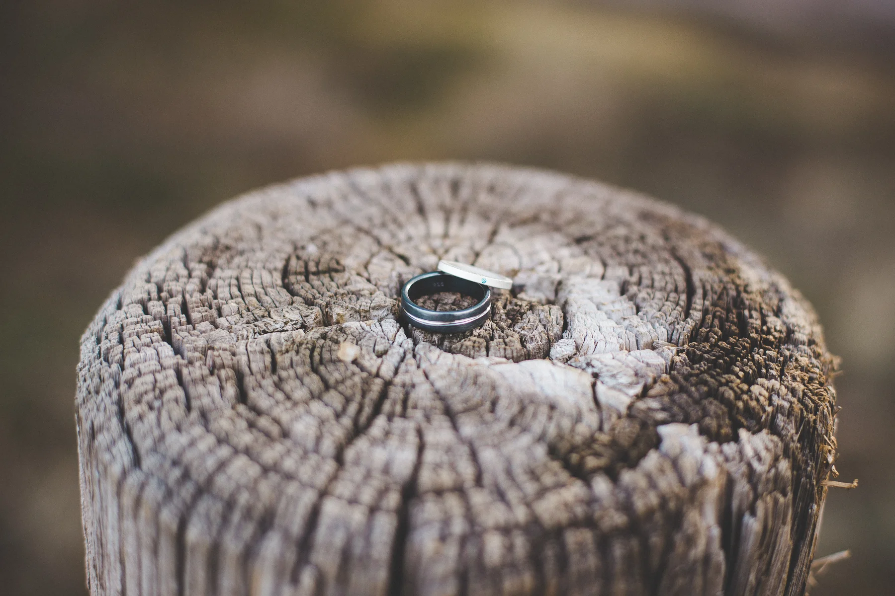 20160227-dannyandjanellewed-20.jpg
