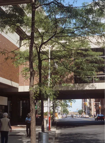 baystate3.jpg