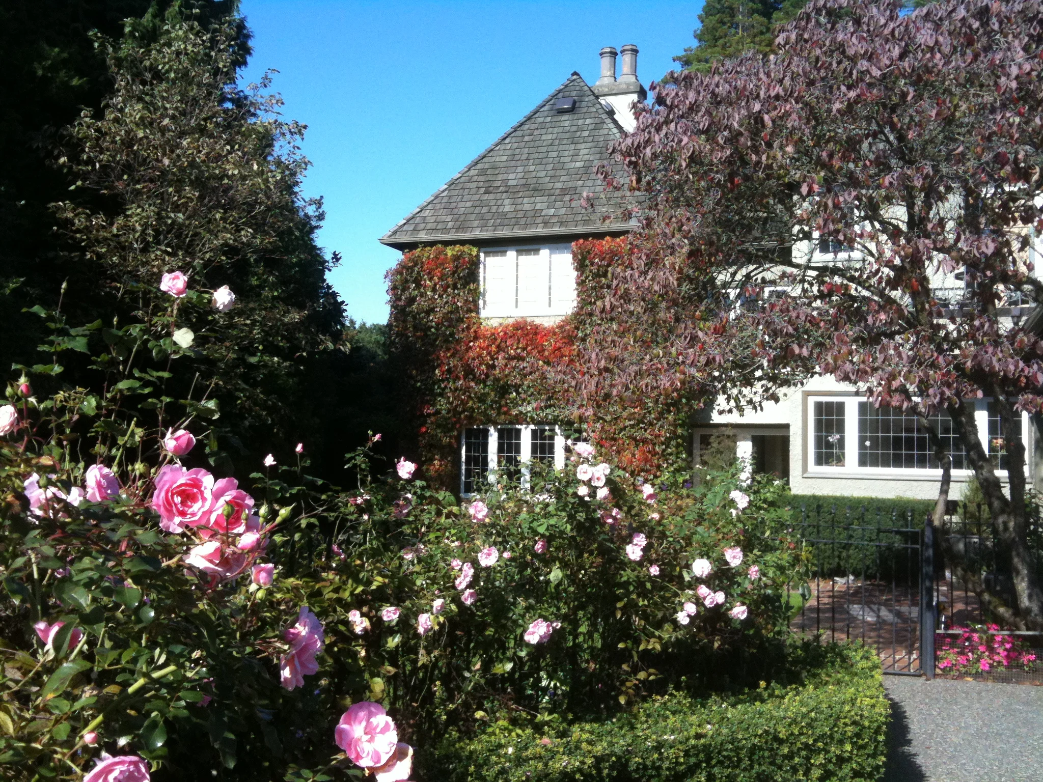   Garden Planting and Maintenance.  