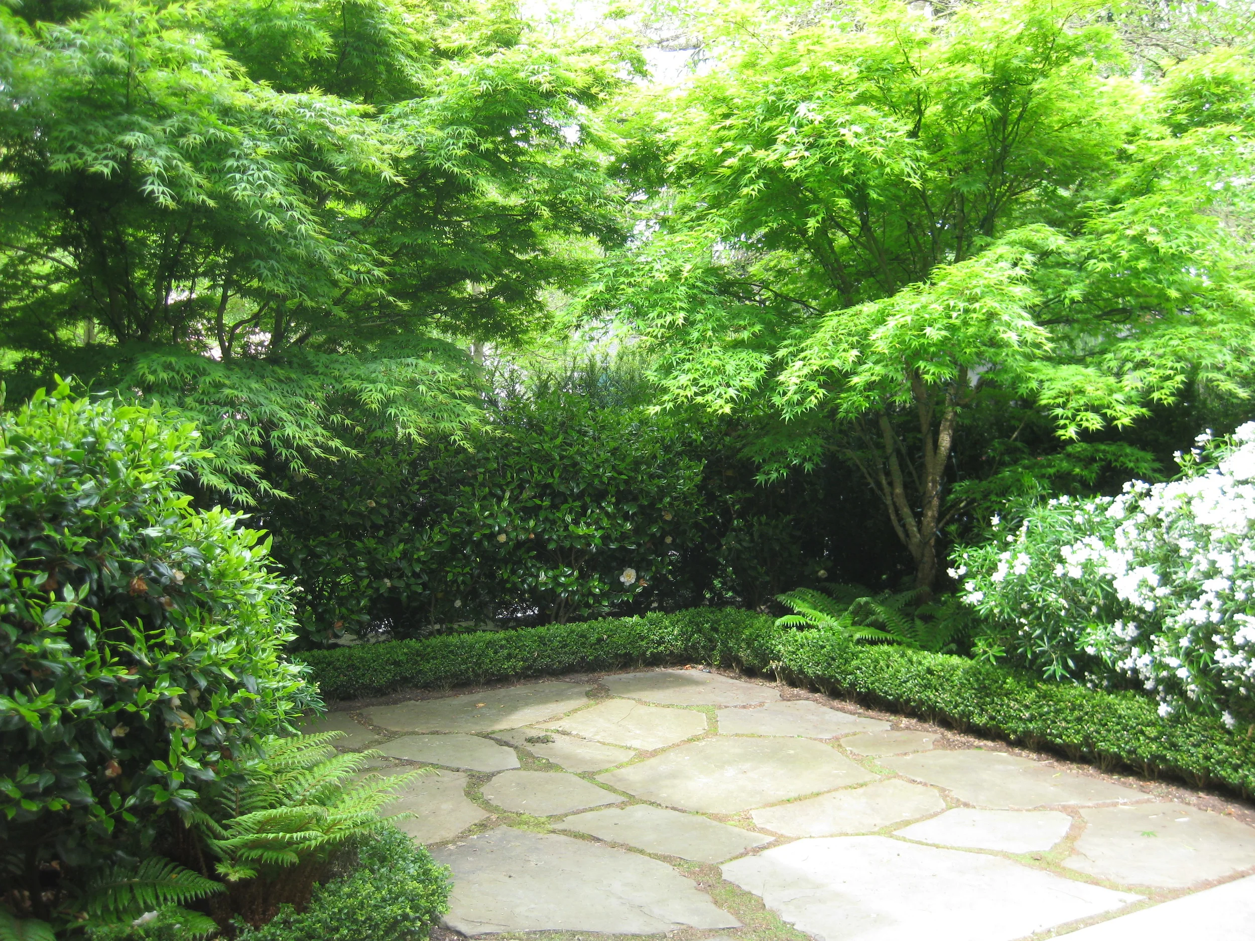   Garden Design, Installation and Maintenance.  