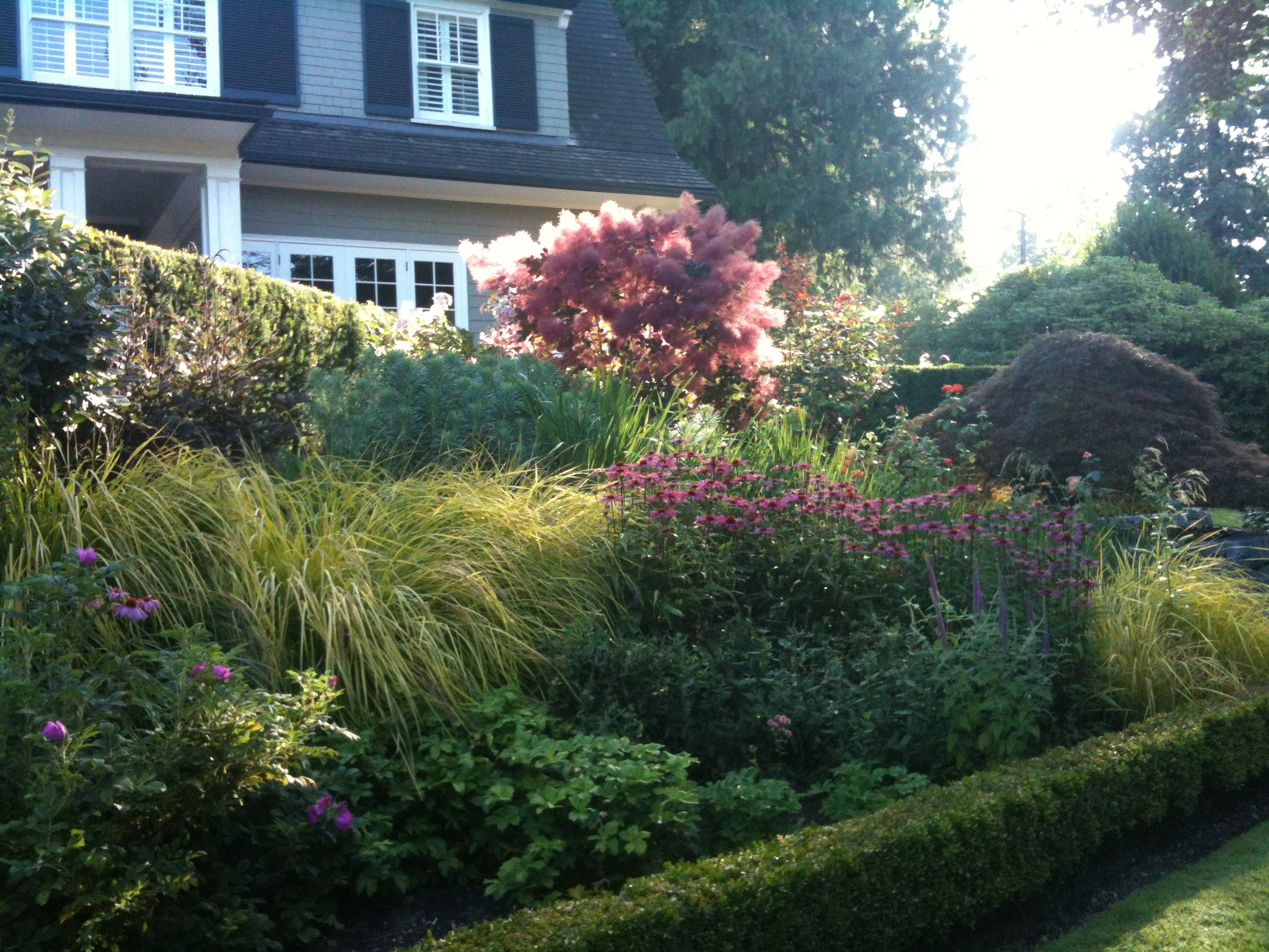  Garden Renovation. Planting Design and Installation 