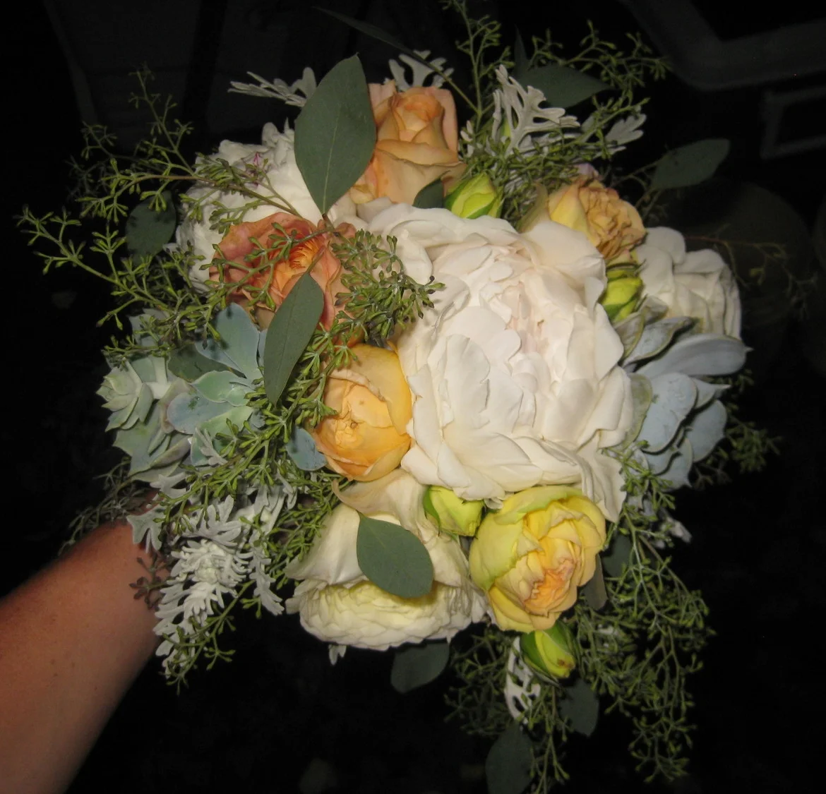 IMG_2765.JPG