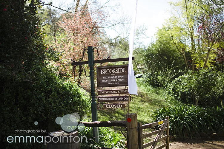 Brookside Vineyard Wedding001.jpg