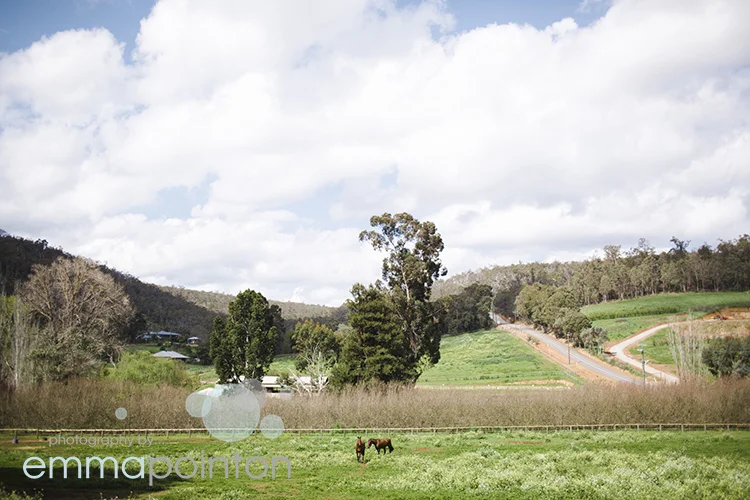 Brookside Vineyard Wedding002.jpg