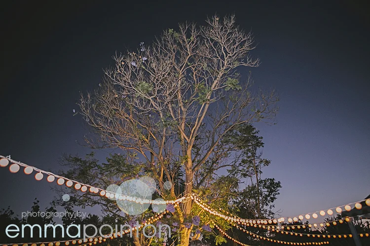 backyard Wedding Perth