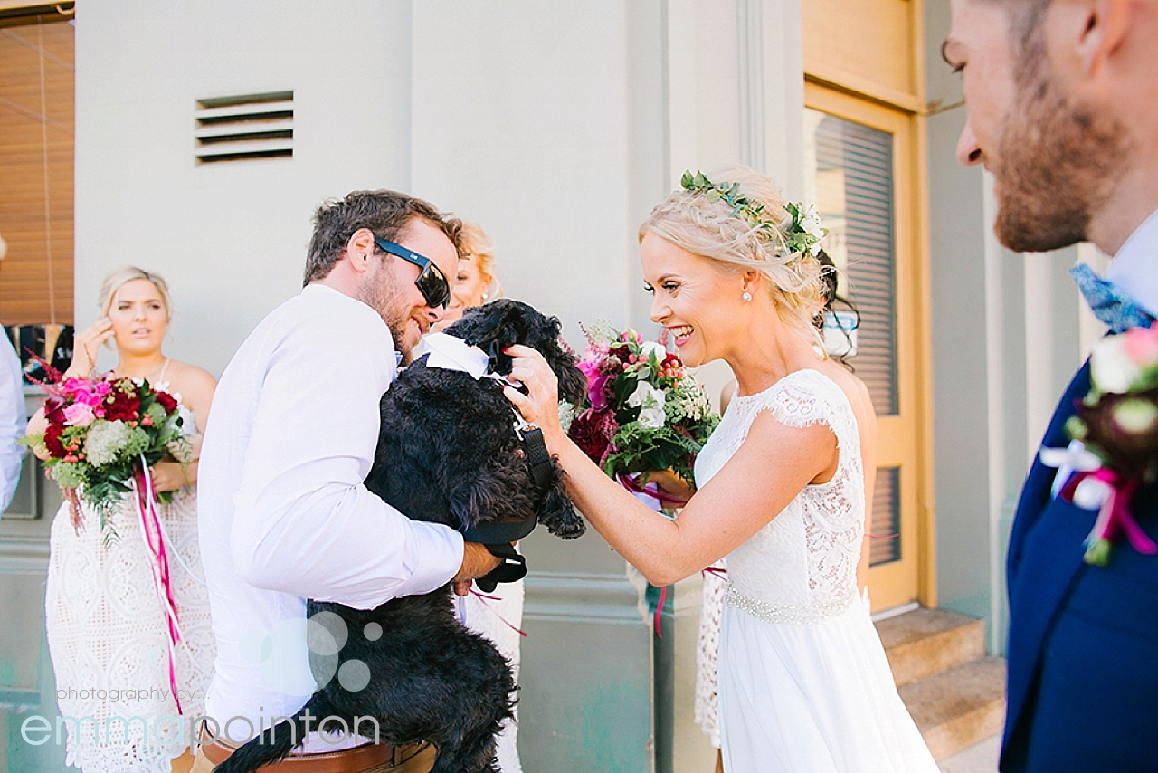 Furry child at wedding