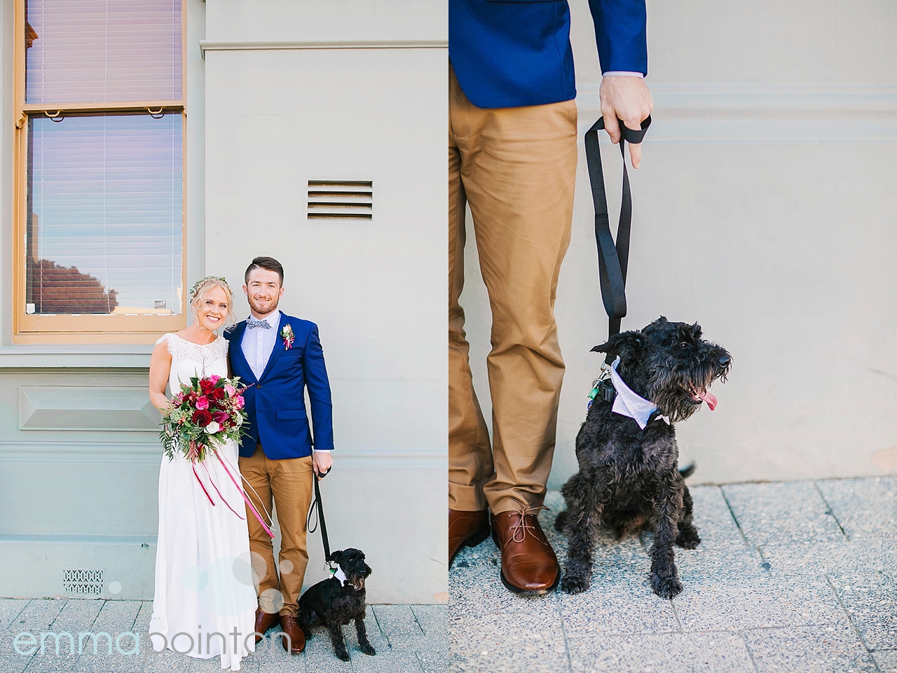 Wedding dog Fremantle