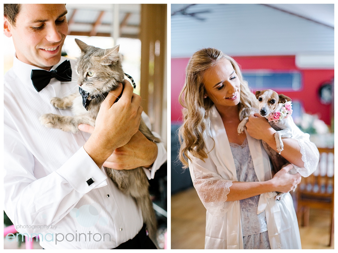 Wedding portraits with pets