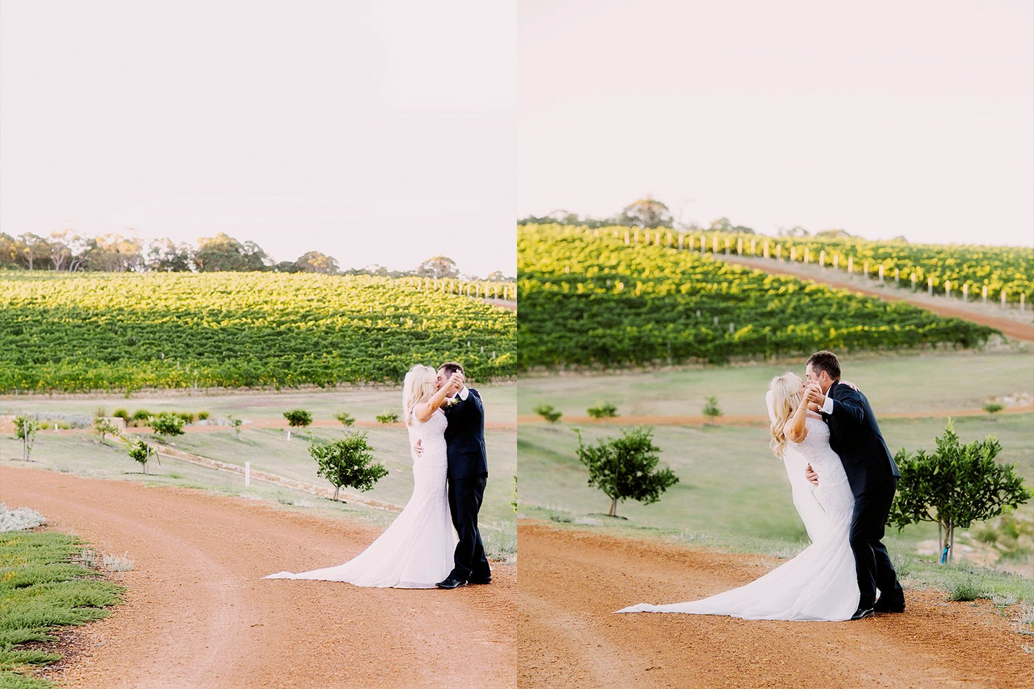 Aravina Estate Wedding Photography