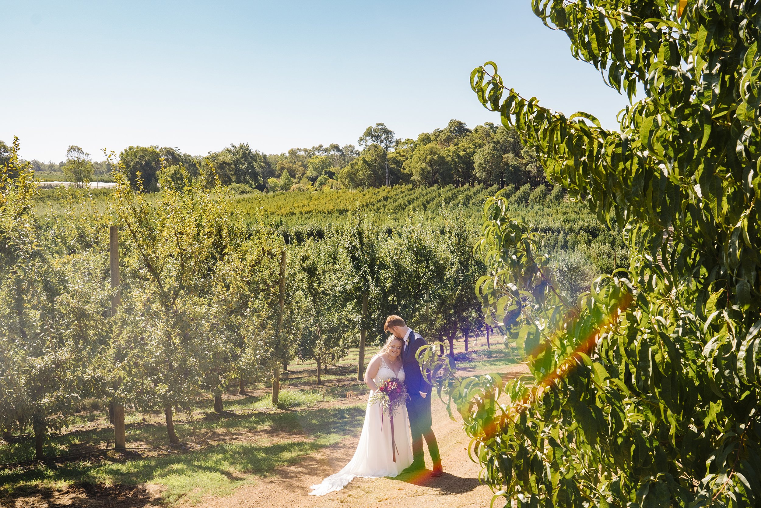 Perth Elopement in Orchard in the Swan Valley