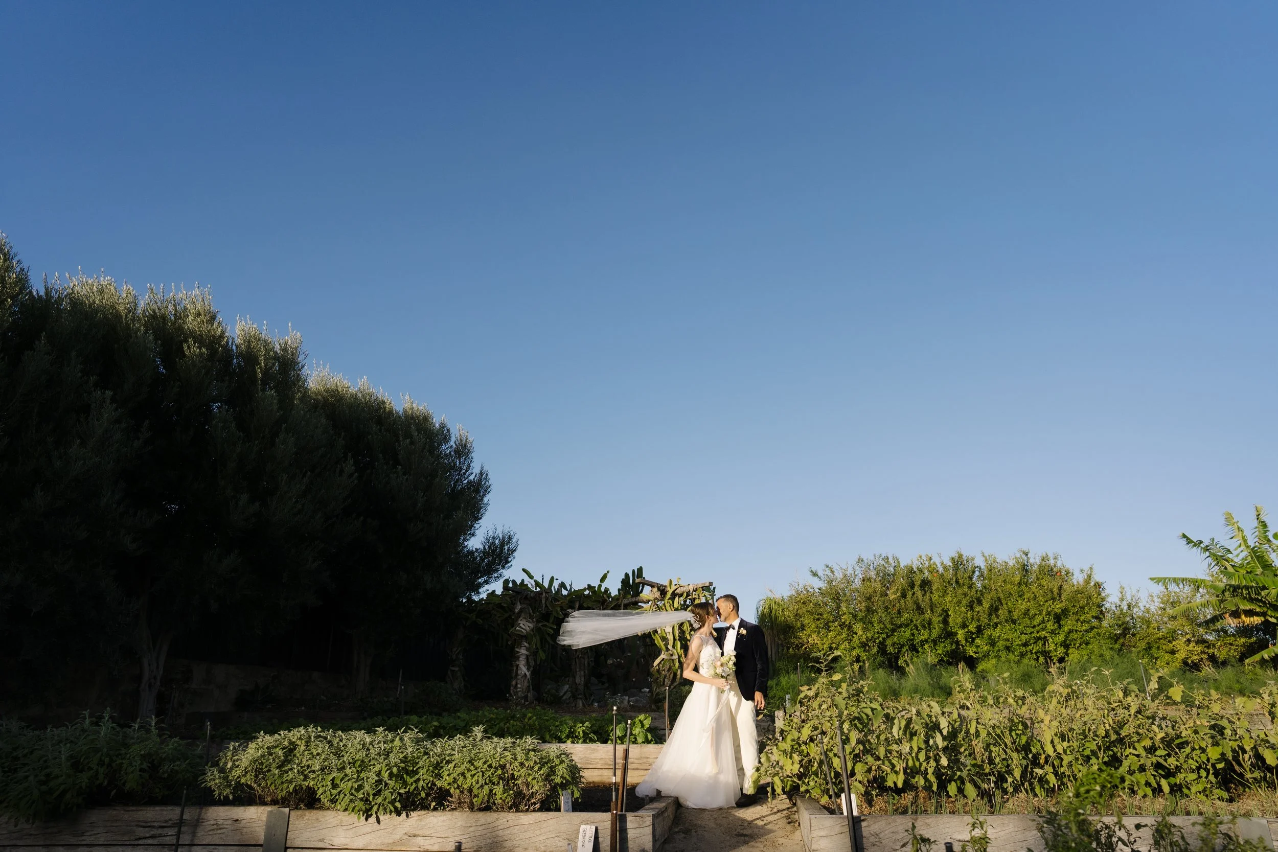Coogee Commons Wedding Photographer