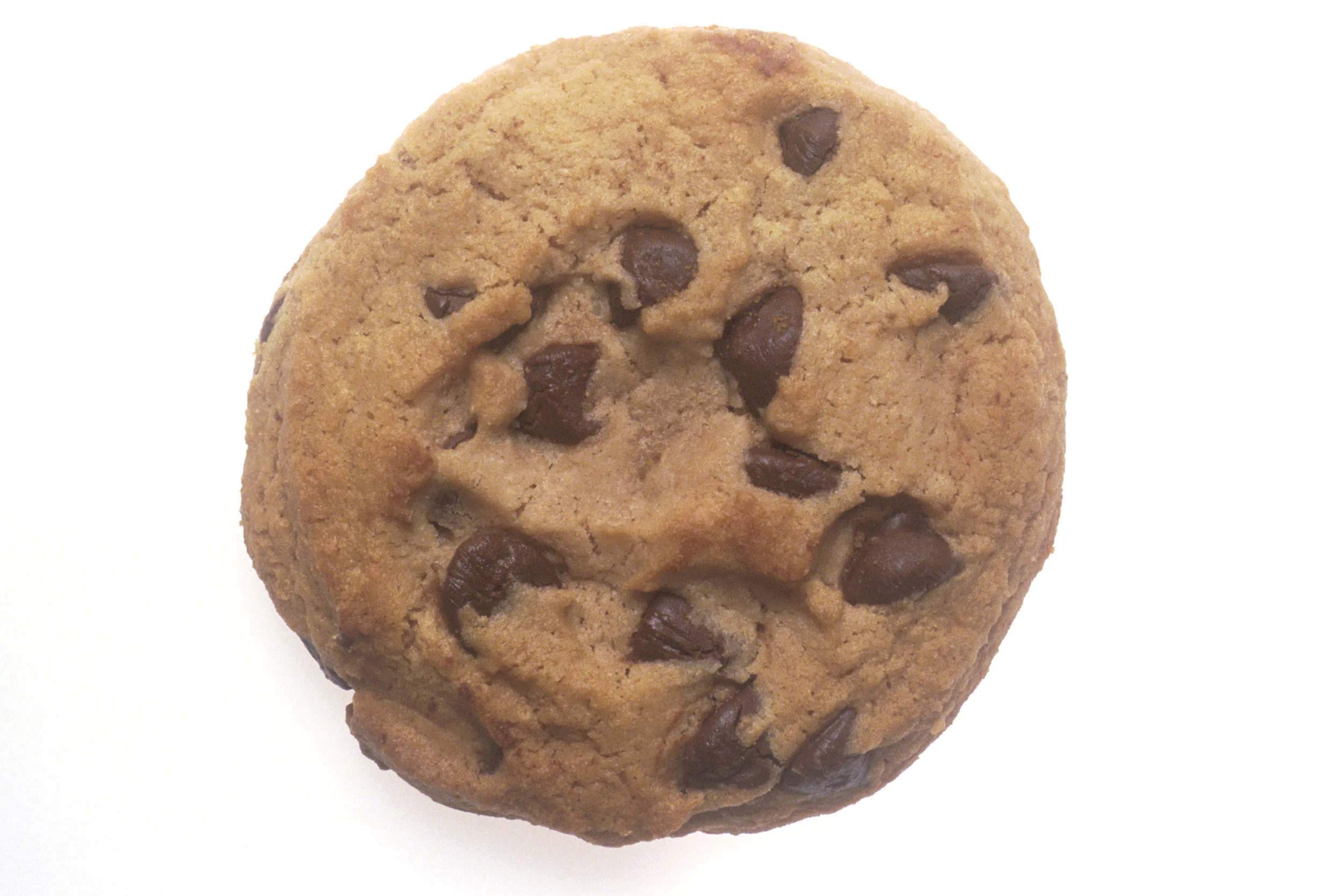 17130-a-chocolate-chip-cookie-or.jpg