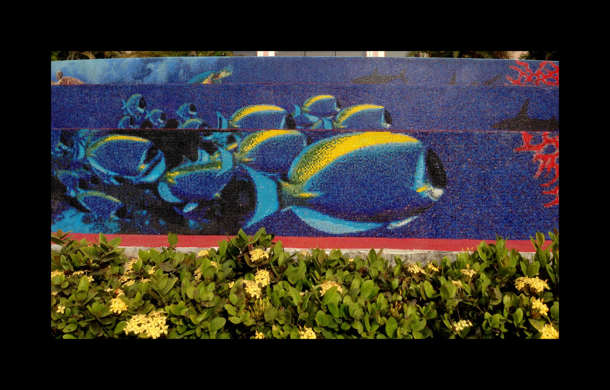 M_029.JPG