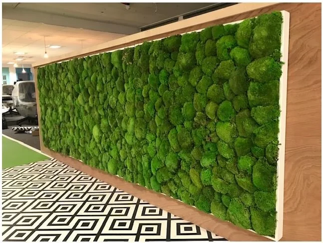 1_Moss wall by BB.JPG