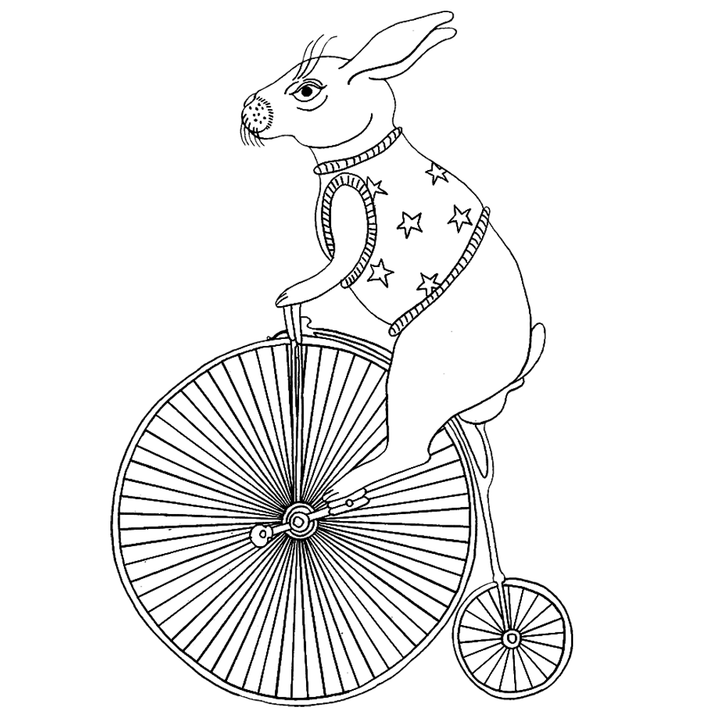 ArttiqueLtd_Rabbitonbike.png