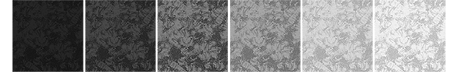 TextureColorationBW.png