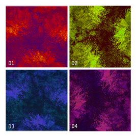 TextureColorationD1.png