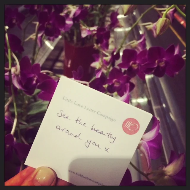 Orchid Love in Singapore