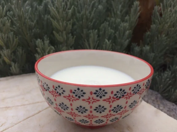 Milk Bowl - Paper Lantern Magic