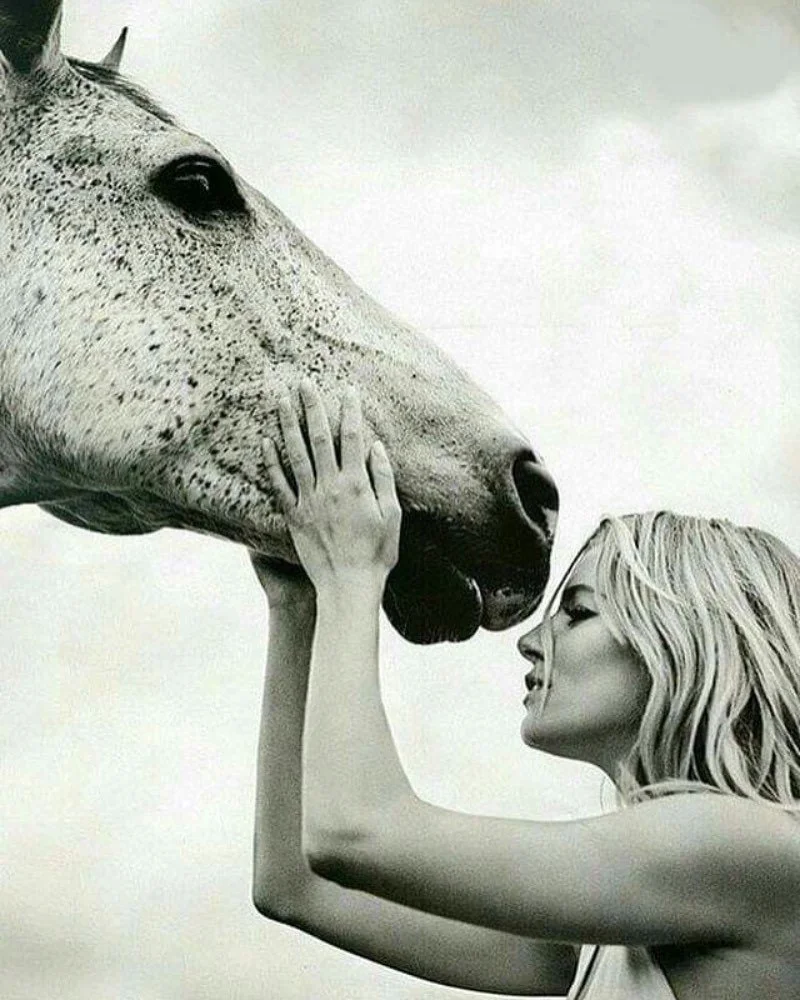 &lsquo;She who is brave is free&rsquo;. Trusting our own advice on this one&hellip; 
.
#welcomeback #organiccottonclothing #wordshavepower #mindfulapparel 
.
Image credit: Unknown