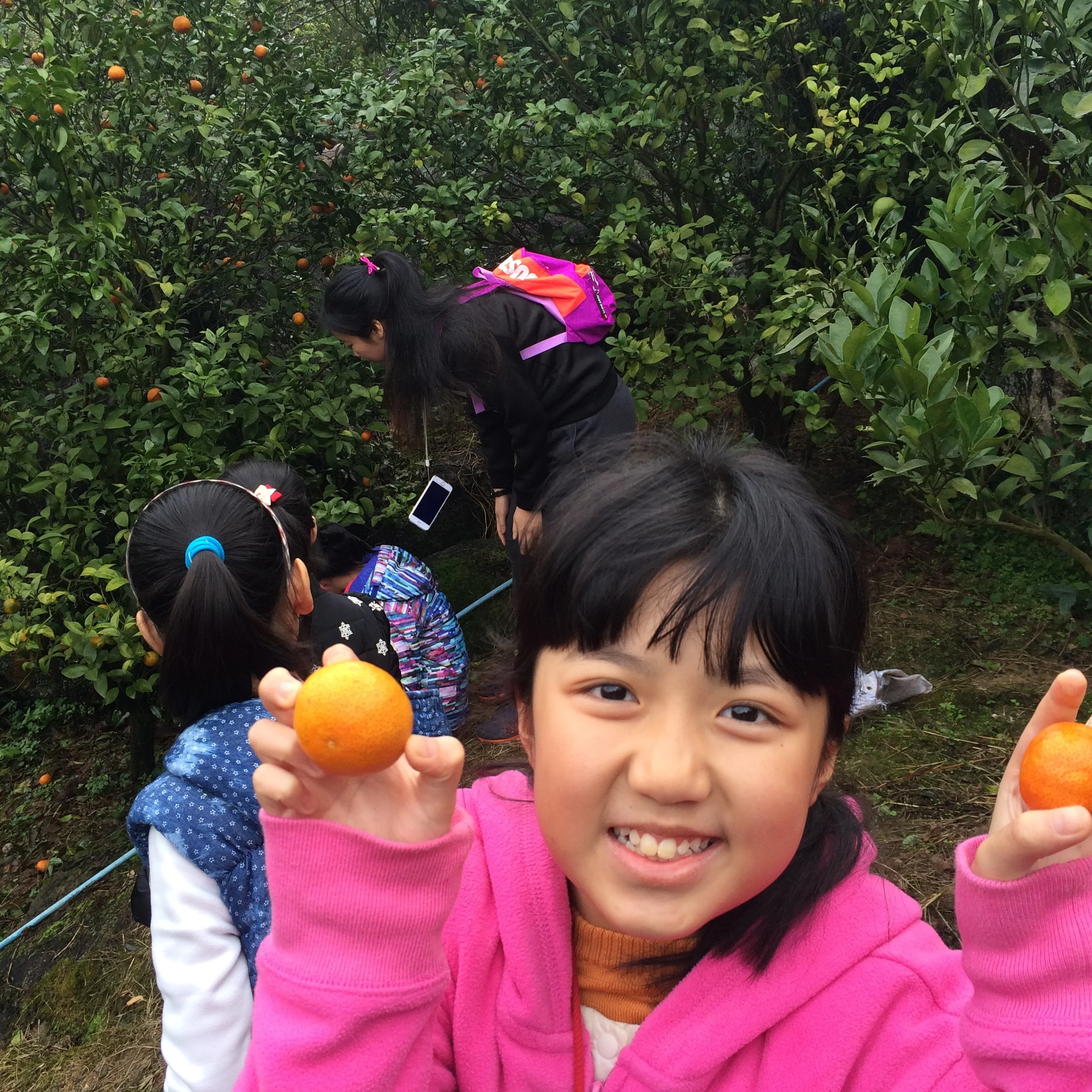 Cong Hua, Guangdong - Our students and teachers visited an orchard.