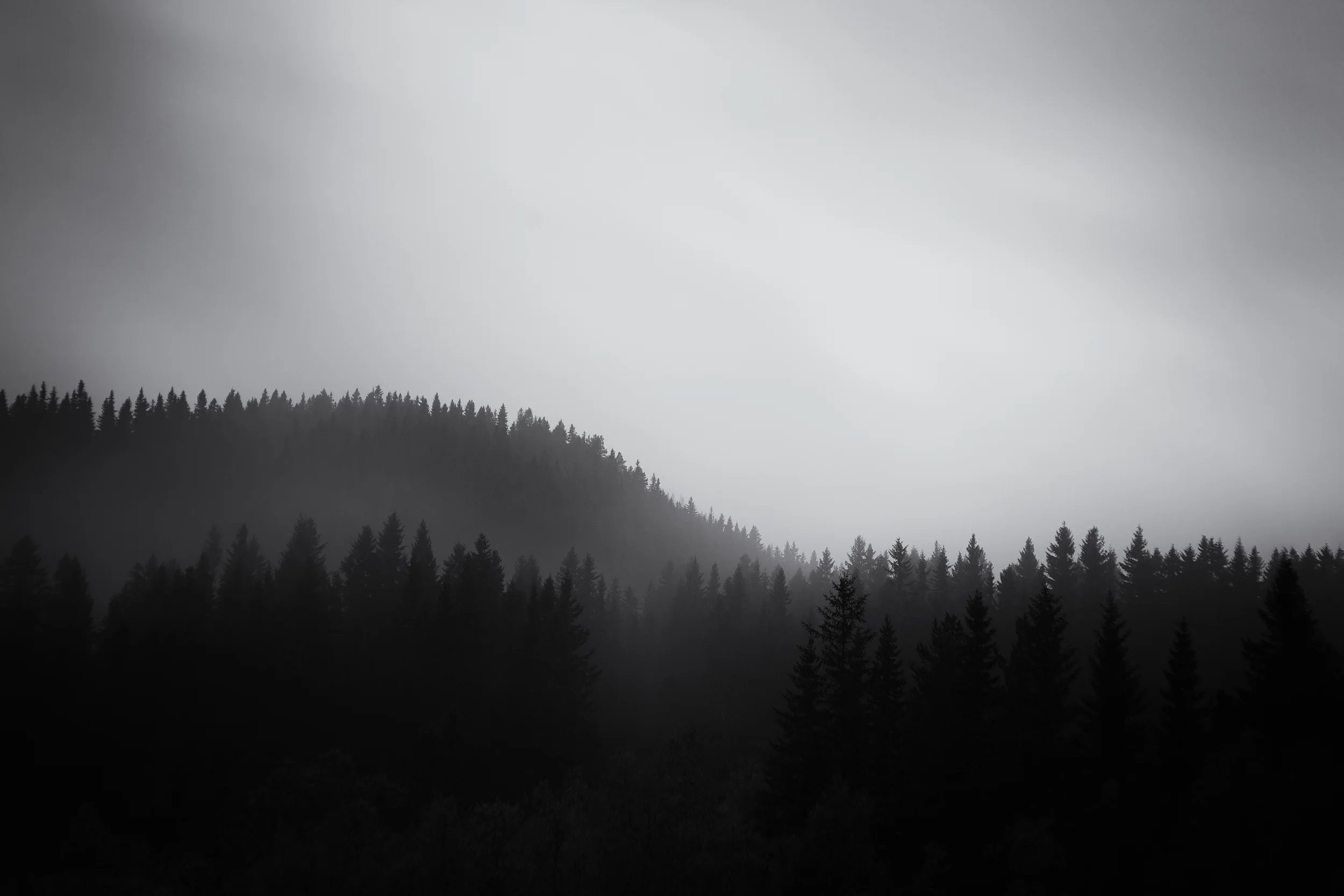 IMG_3734-Edit-Edit_org.jpg