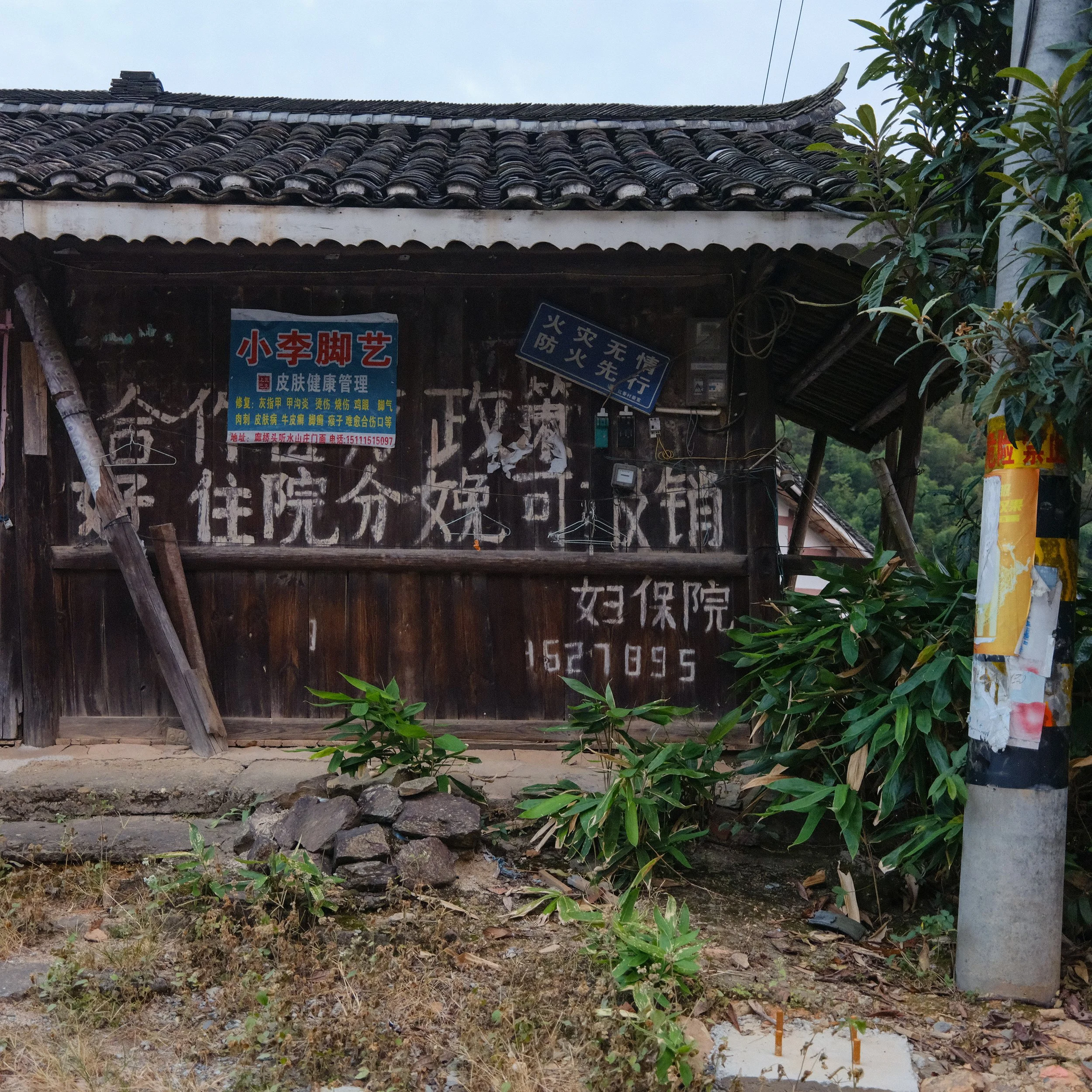 DSCF2244.jpg