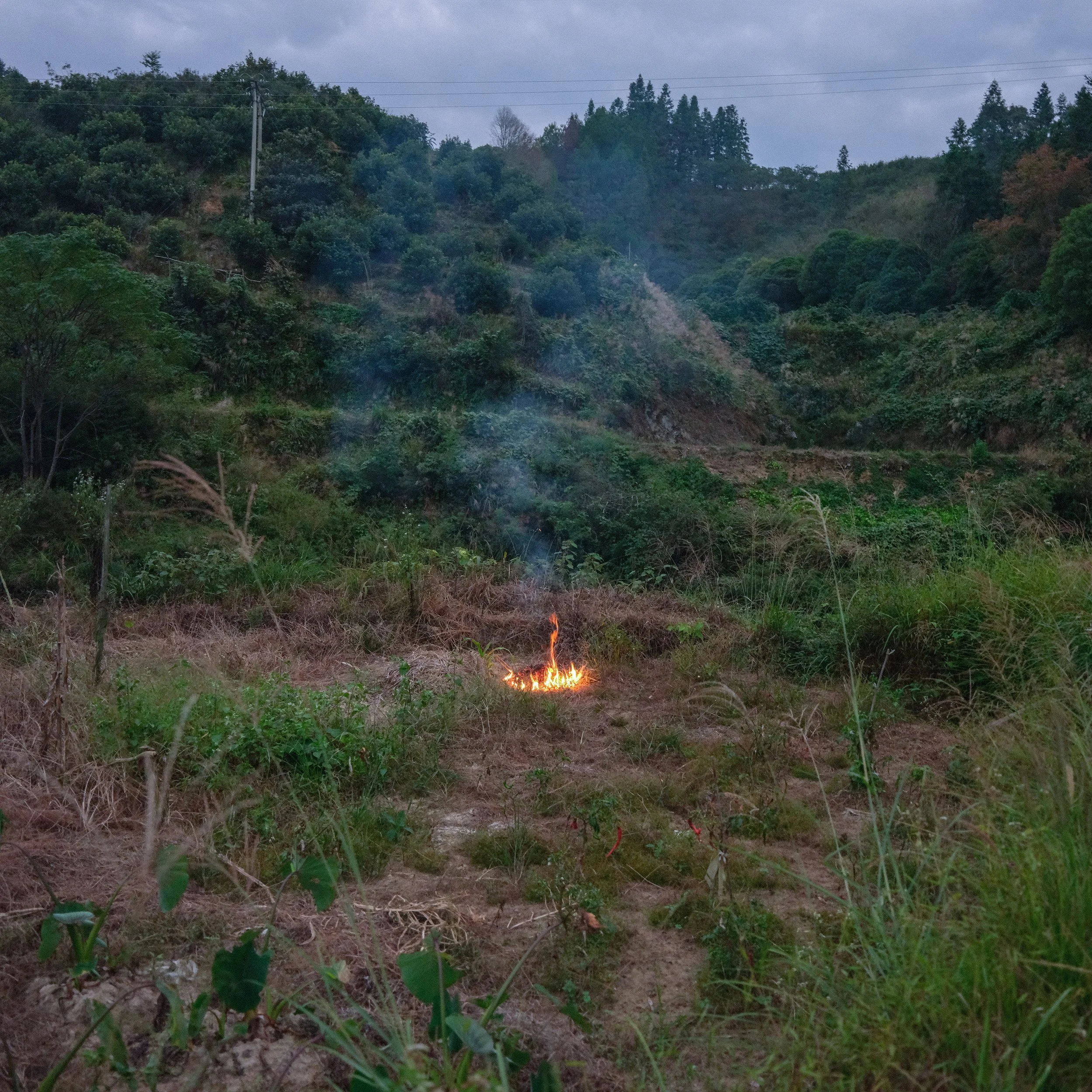 DSCF2254.jpg